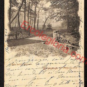 ae3384 - CARTOLINA  D'EPOCA - Verona Provincia - Valpolicella   1906
