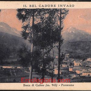 ae1086 - CARTOLINA  D'EPOCA - Belluno Provincia - Borca di Cadore