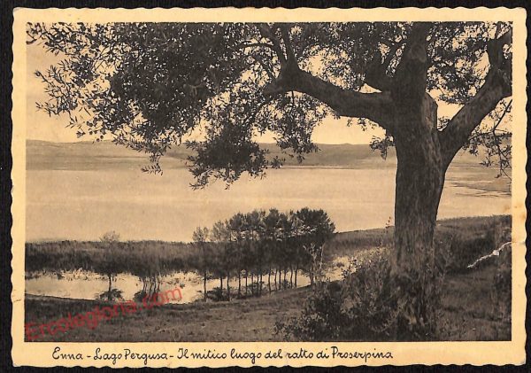 ae4523 - CARTOLINA D'EPOCA - Enna Città -   Lago Pergusa