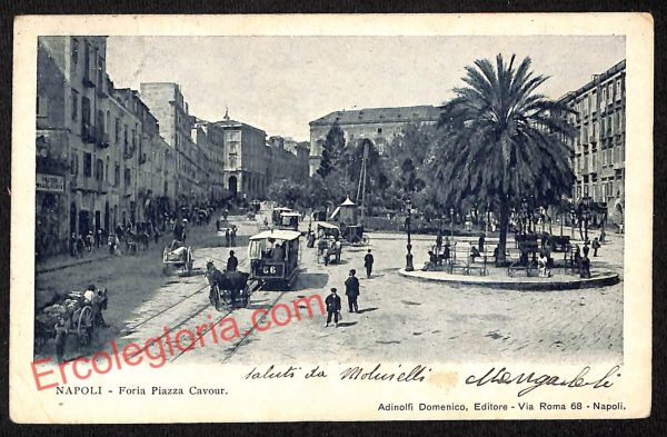 ag9821 - CARTOLINE D'EPOCA - Napoli Citta - Foria Piazza Cavour