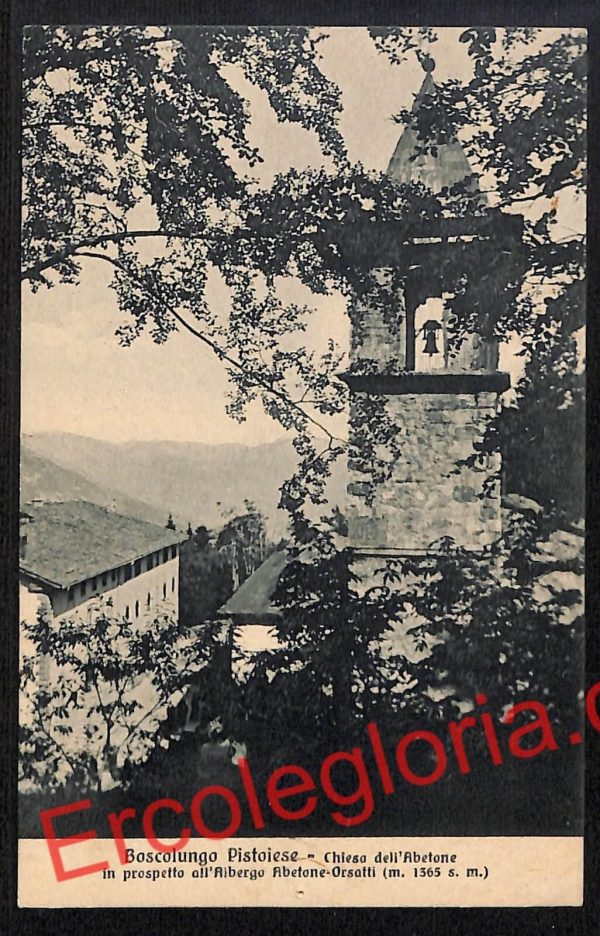 ah8120 - CARTOLINA D'EPOCA - Pistoia Provincia - Boscolungo Abetone