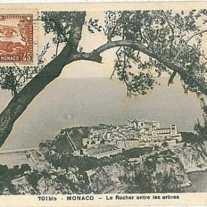 14701 - MONACO - POSTAL HISTORY - MAXIMUM CARD  Architecture  NATURE sea