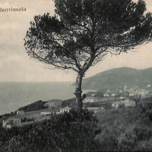 ac8129 - CARTOLINA D'EPOCA - Livorno Provincia - Quercianella