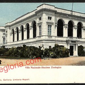 ag9669 - CARTOLINE D'EPOCA - Napoli Città - Stazione Zoologica
