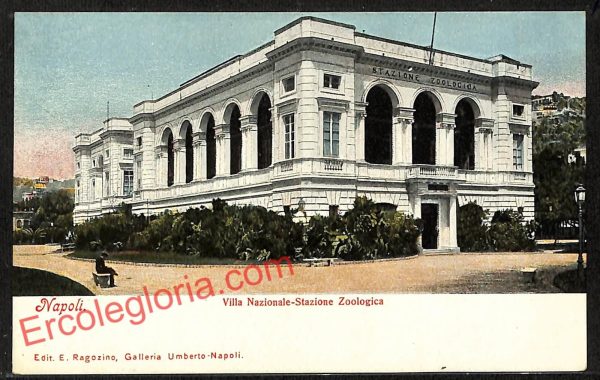 ag9669 - CARTOLINE D'EPOCA - Napoli Città - Stazione Zoologica