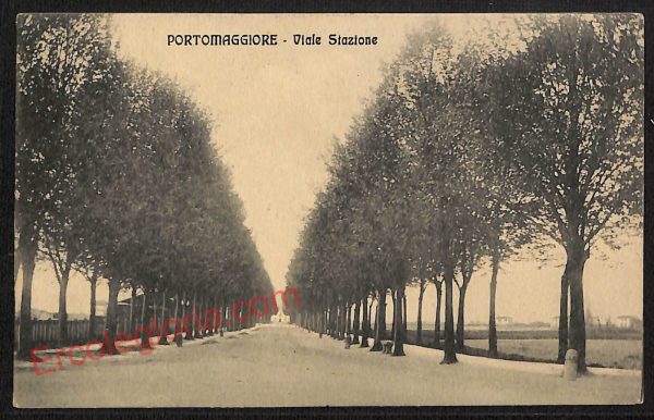 ae6210 - CARTOLINA D'EPOCA - Ferrara Provincia - Portomaggiore