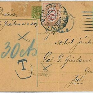 29659 - Czechoslovakia - POSTAL STATIONERY to ITALY - TAXED on arrival 1924