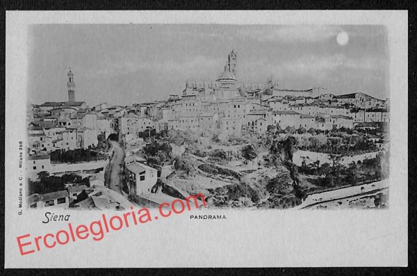 ai5326 - CARTOLINA D'EPOCA - Siena Città - Panorama