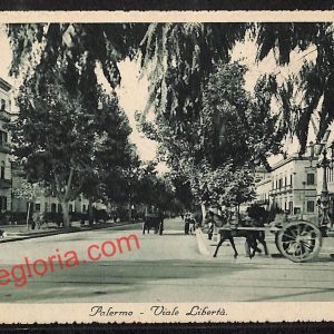 ah4676 - CARTOLINA D'EPOCA - Palermo Città - Viale Libertà
