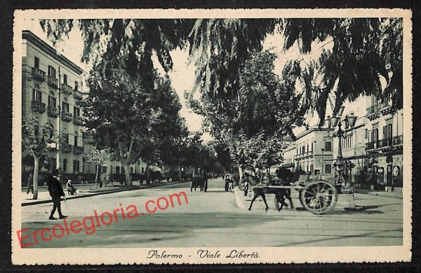 ah4676 - CARTOLINA D'EPOCA - Palermo Città - Viale Libertà
