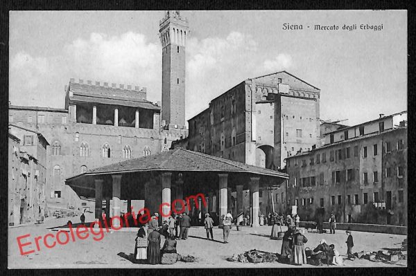 ai5396 - CARTOLINA D'EPOCA - Siena Città - Mercato degli Erbaggi