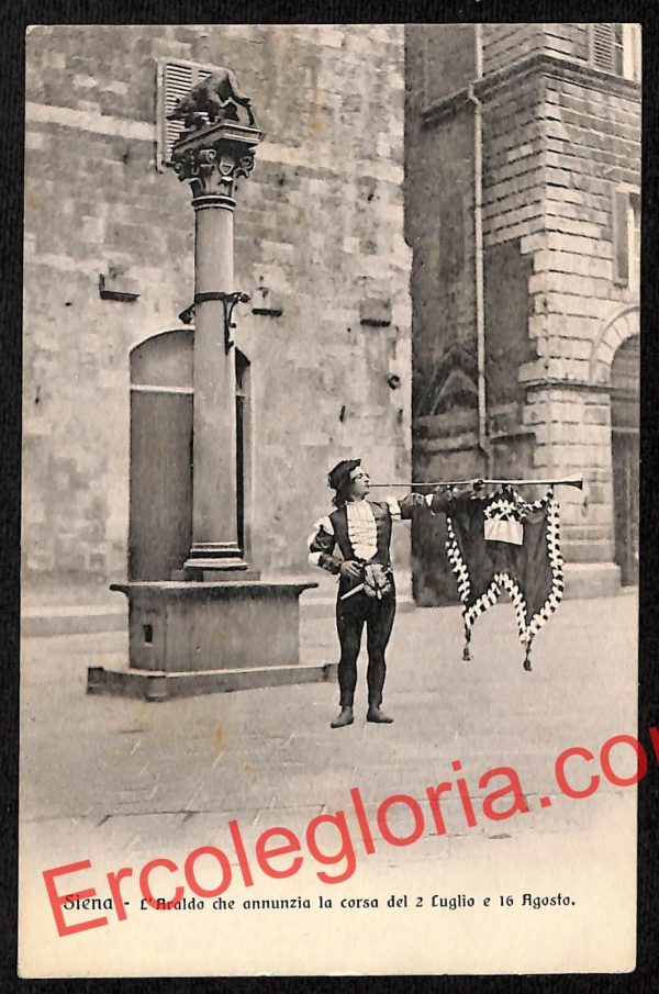 ai5403 - CARTOLINA D'EPOCA - Siena Città - L' Araldo che Annunzio la Corsa