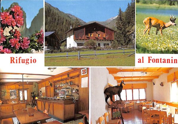 ab5671 - CARTOLINA  D'EPOCA - Trento Provincia :  FONTANIN