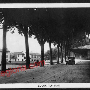 ag6088 - CARTOLINA D'EPOCA - Lucca Città - Le Mura