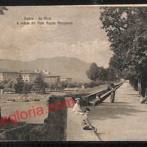 ag6089 - CARTOLINA D'EPOCA - Lucca Città - Viale Regina Margherita   1921