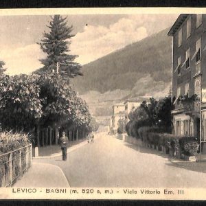 ab5689 - CARTOLINA  D'EPOCA - Trento Provincia :  LEVICO