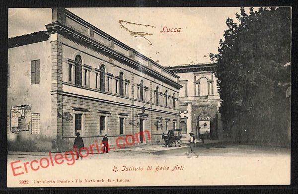 ag6095 - CARTOLINA D'EPOCA - Lucca Città - R. Istituto do Belle Arti