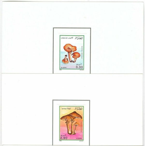 46652 - ALGERIA - 4 DELUXE  PROOF  Sheets - Scott # 908/911 MUSHROOMS 1989 - immagine 2