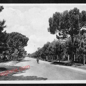 ag0494 - CARTOLINA D'EPOCA - Forlì Provincia - Cervia