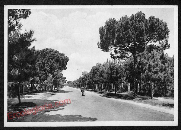 ag0494 - CARTOLINA D'EPOCA - Forlì Provincia - Cervia