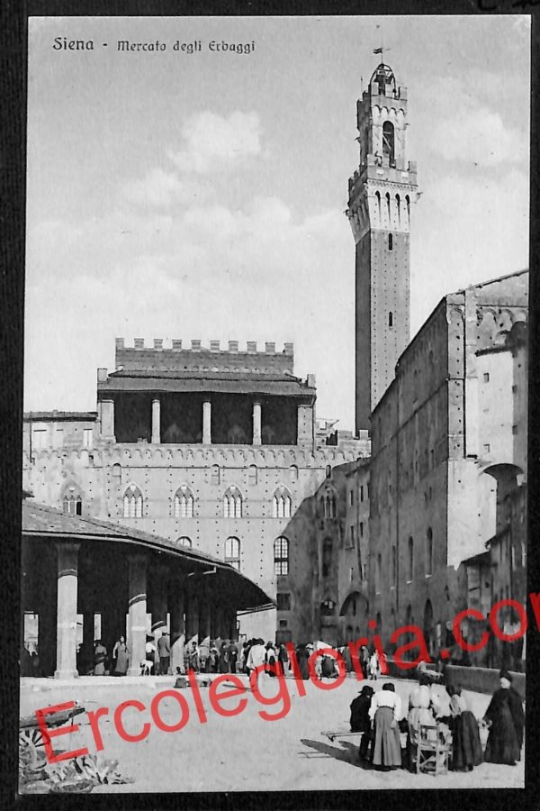 ai5417 - CARTOLINA D'EPOCA - Siena Città - Mercato degli Erbaggi