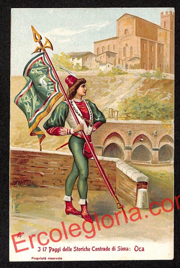 ai5427 CARTOLINA D'EPOCA - I 17 Paggi delle Storiche Contrade di Siena : Oca