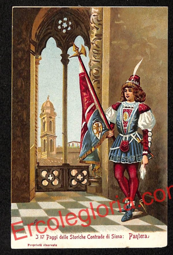 ai5429 CARTOLINA D'EPOCA - I 17 Paggi delle Storiche Contrade di Siena : Pantera