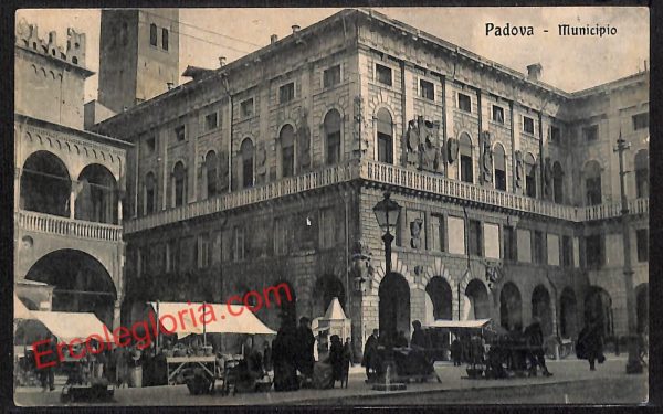 ah4179 - CARTOLINA D'EPOCA - Padova Città - Municipio