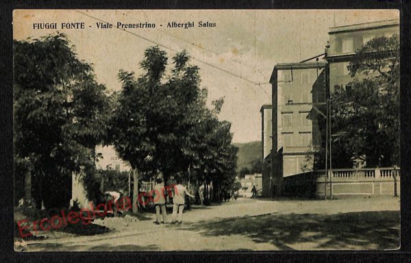 ag0674 - CARTOLINA D'EPOCA - Frosinone Provincia - Fiuggi