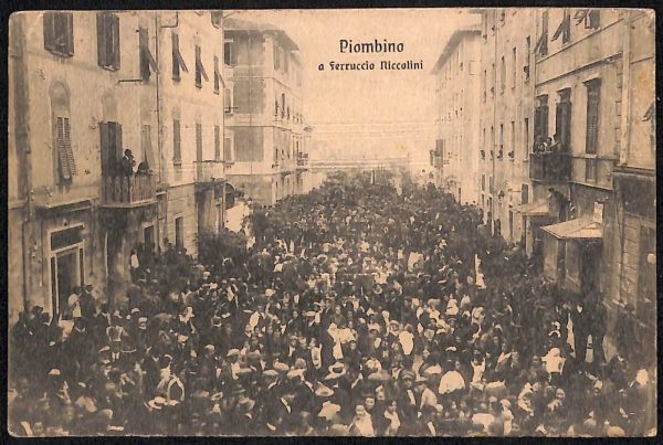 ad4006 - CARTOLINA  D'EPOCA - Livorno Provincia - PIOMBINO - Ferruccio Niccolini