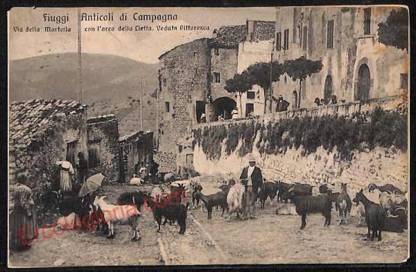 ag0679 - CARTOLINA D'EPOCA - Frosinone Provincia - Fiuggi