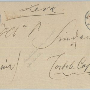 82544 - REGNO - STORIA POSTALE - Sass # 138y  BORDO FOGLIO su BUSTA da PONTEVICO