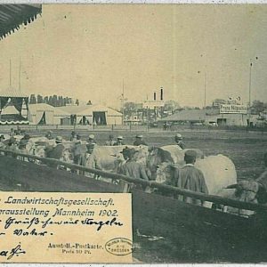 33597 - Ansichtskarten VINTAGE POSTCARD: GERMANY Deutschland -  Mannheim - WOW!