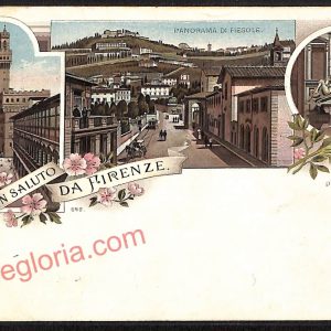 ae7408 - CARTOLINA D'EPOCA - Firenze Città - Panorama