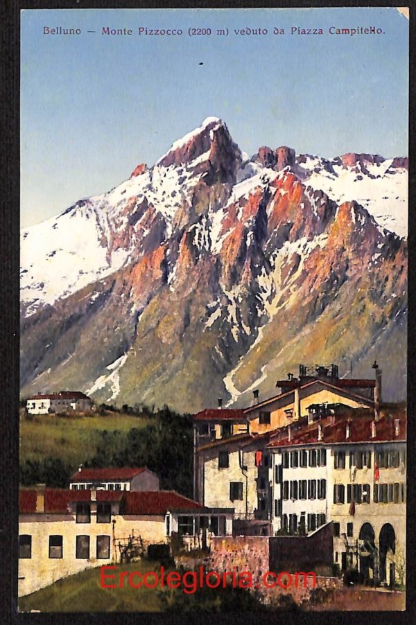 ae1022 - CARTOLINA  D'EPOCA - Belluno Citta -  Monte Pizzocco
