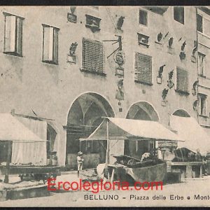 ae1028 - CARTOLINA  D'EPOCA - Belluno Citta - Piazza delle Erbe  1917