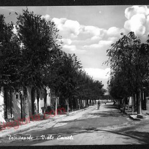 ag0334 - CARTOLINA D'EPOCA - Foggia Provincia - Trinitapoli