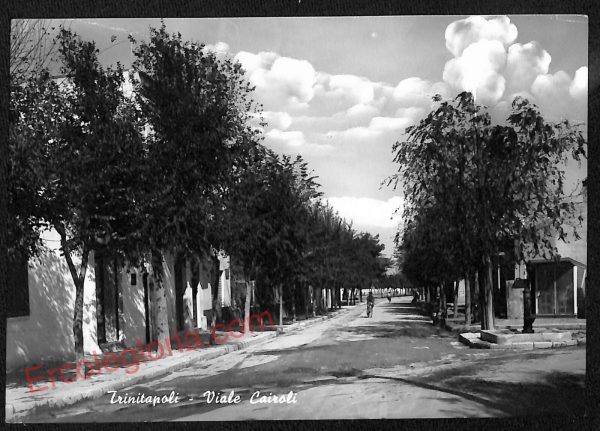 ag0334 - CARTOLINA D'EPOCA - Foggia Provincia - Trinitapoli