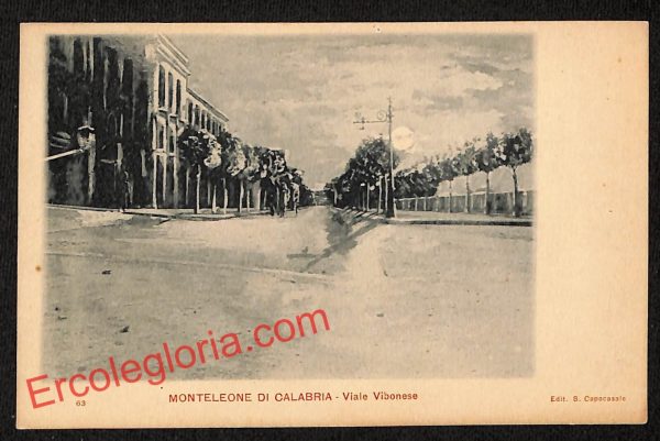 ah9609 - CARTOLINA D'EPOCA - Reggio Calabria Provincia - Monteleone di Calabria
