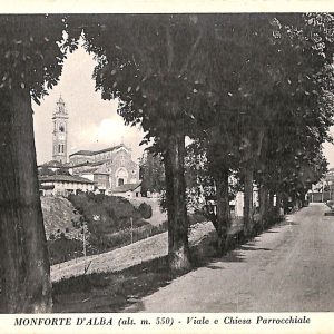 ab4618  -  CARTOLINA  D'EPOCA -  Cuneo Provincia -  MONFORTE D'ALBA
