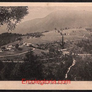 ae1074 - CARTOLINA  D'EPOCA - Belluno Provincia -  Arsiè  1931
