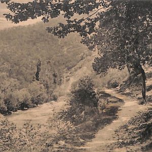 ab4667 -  CARTOLINA  D'EPOCA -  Cuneo Provincia -  ORMEA