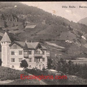 ae1076 - CARTOLINA  D'EPOCA - Belluno Provincia - Auronzo del Cadore