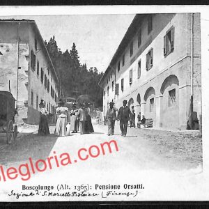 ah8136 - CARTOLINA D'EPOCA - Pistoia Provincia - Boscolungo Abetone