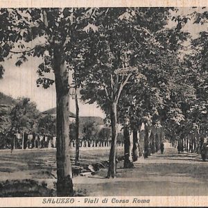 ab4727 -  CARTOLINA  D'EPOCA -  Cuneo Provincia -  SALUZZO