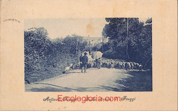 ad8302 - CARTOLINA D'EPOCA - Roma Provincia - Fiuggi
