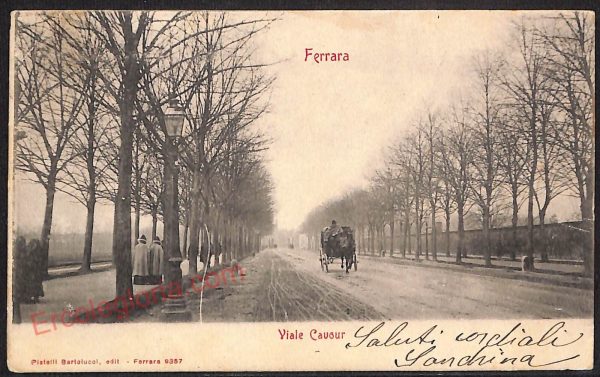 ae6046 - CARTOLINA D'EPOCA - Ferrara Città - Viale Cavour