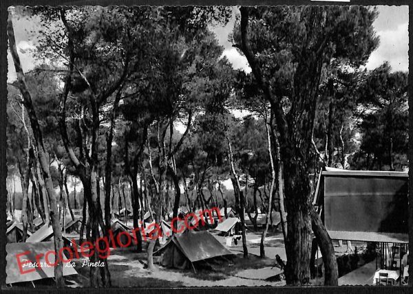 ah7252 - CARTOLINA  D'EPOCA - Pescara Città - La Pineta