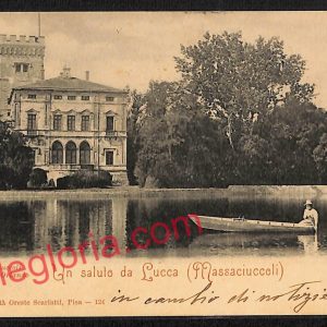 ag6657 - CARTOLINA D'EPOCA - Lucca Provincia - Lago di Massaciuccoli