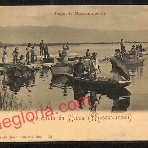 ag6663 - CARTOLINA D'EPOCA - Lucca Provincia - Lago di Massaciuccoli